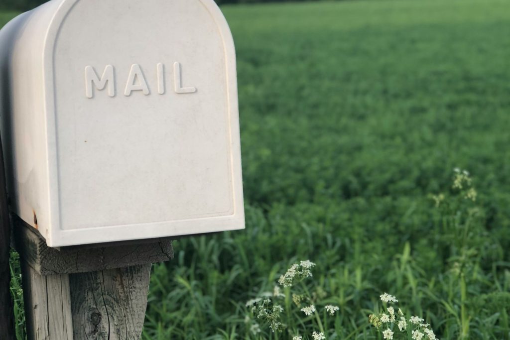 A mailbox with a lush green lawn and wildflowers